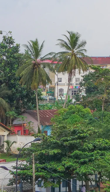 Equatorial Guinea countryintel banner