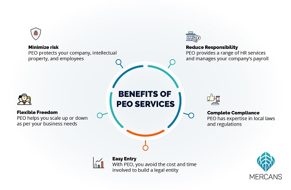 How Does a PEO Operate to Help Your Business?